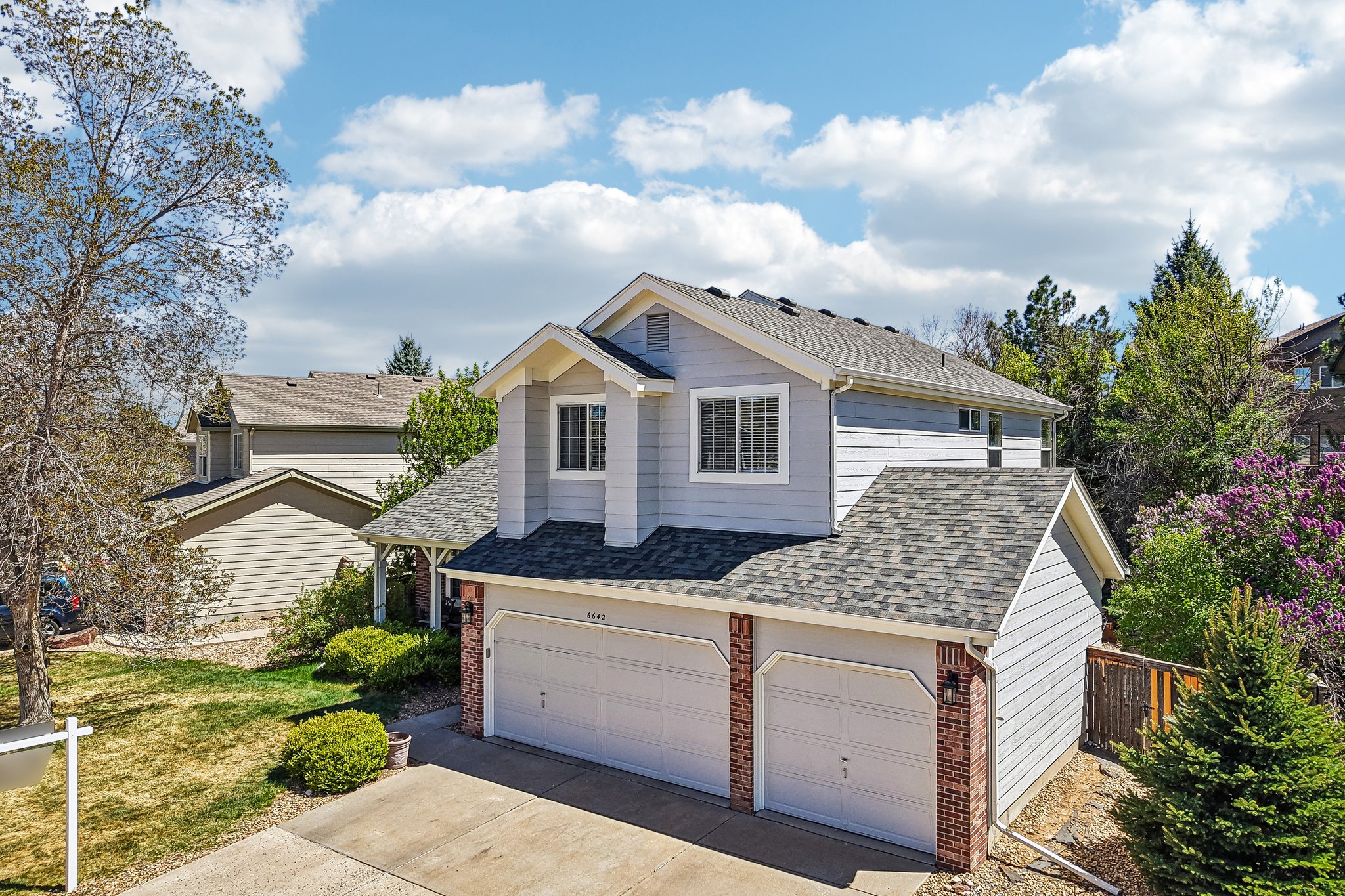 Tiger Tooth-S2304-001.jpg