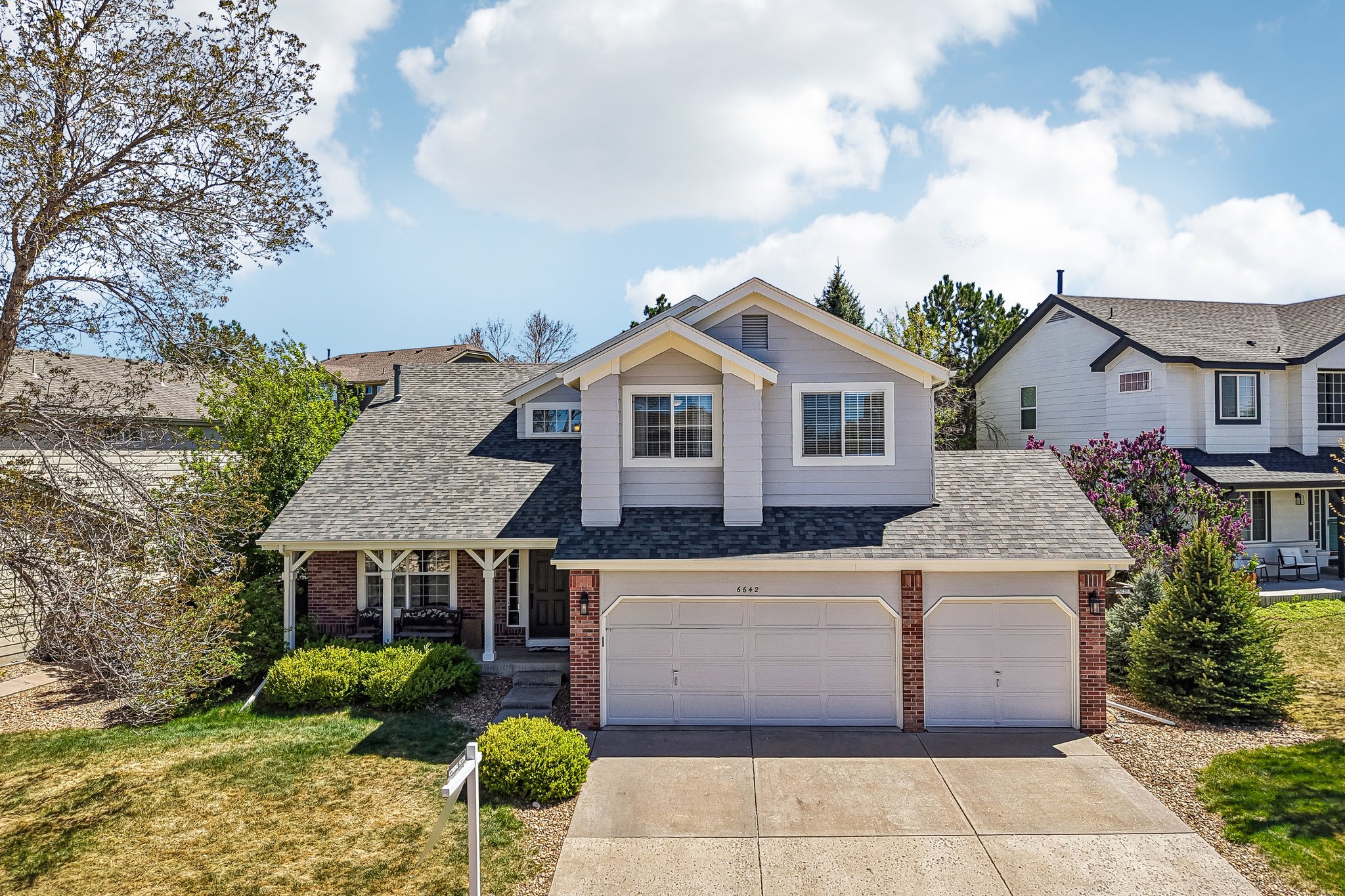 Tiger Tooth-S2304-002.jpg