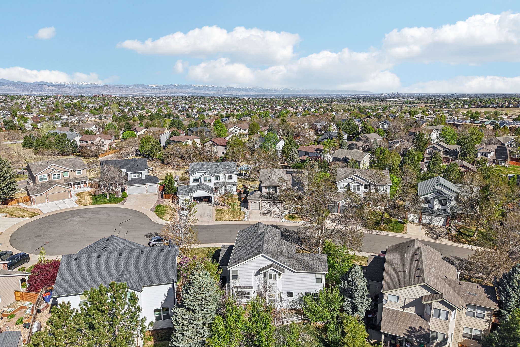 206365 - 6642 Tiger Tooth, Lone Tree, CO 80124-S2504-007.jpg