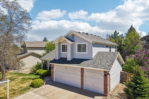 Tiger Tooth-S2304-001.jpg