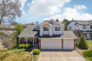 Tiger Tooth-S2304-002.jpg