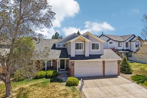 Tiger Tooth-S2304-003.jpg