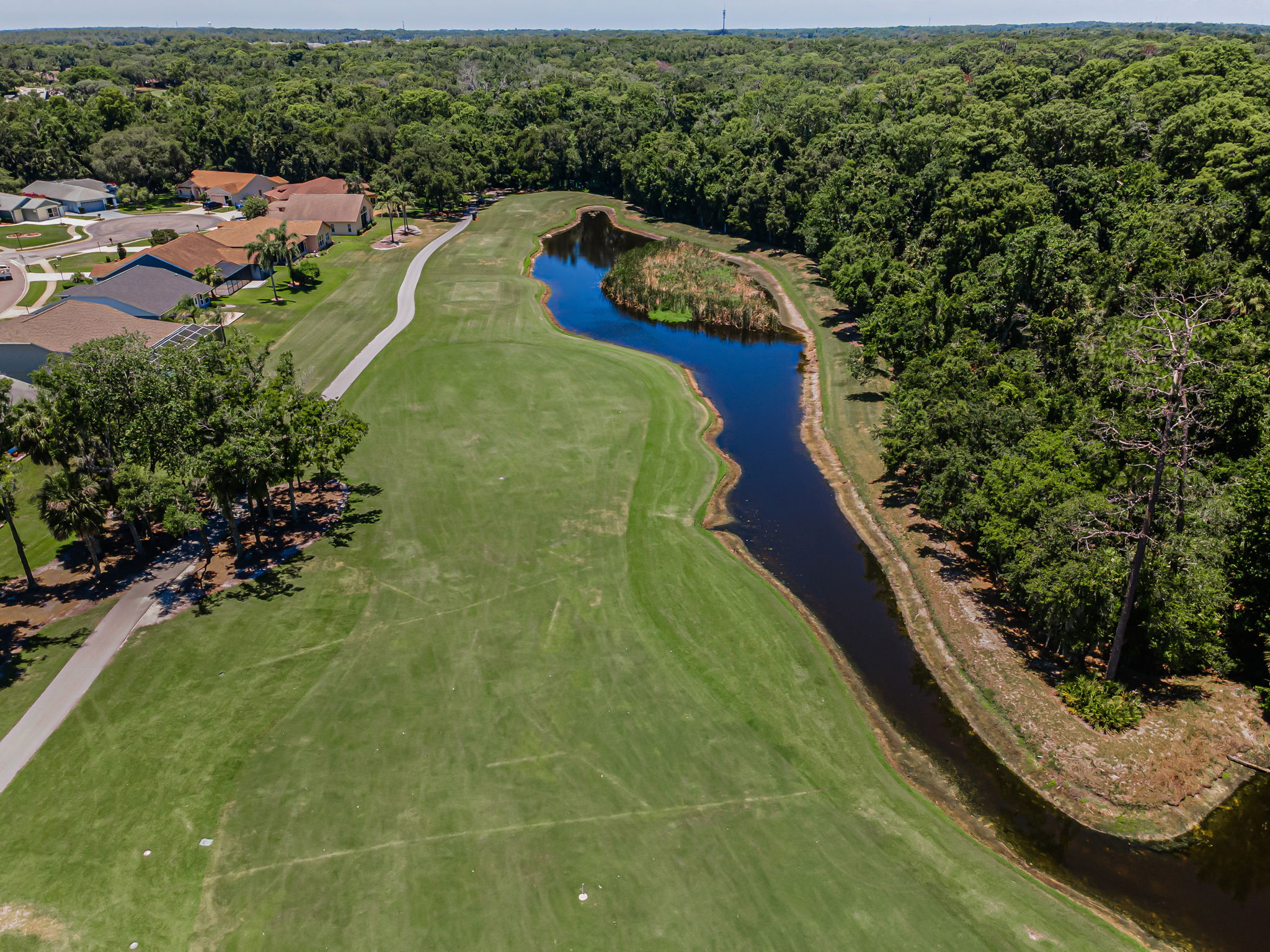 Aerial (17)