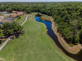 Aerial (17)