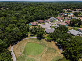 Aerial (18)