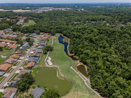 Aerial (16)