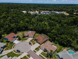 Aerial (7)