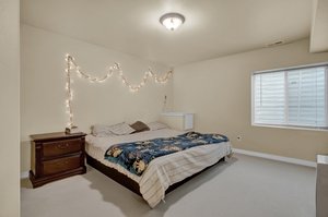 Basement Bedroom