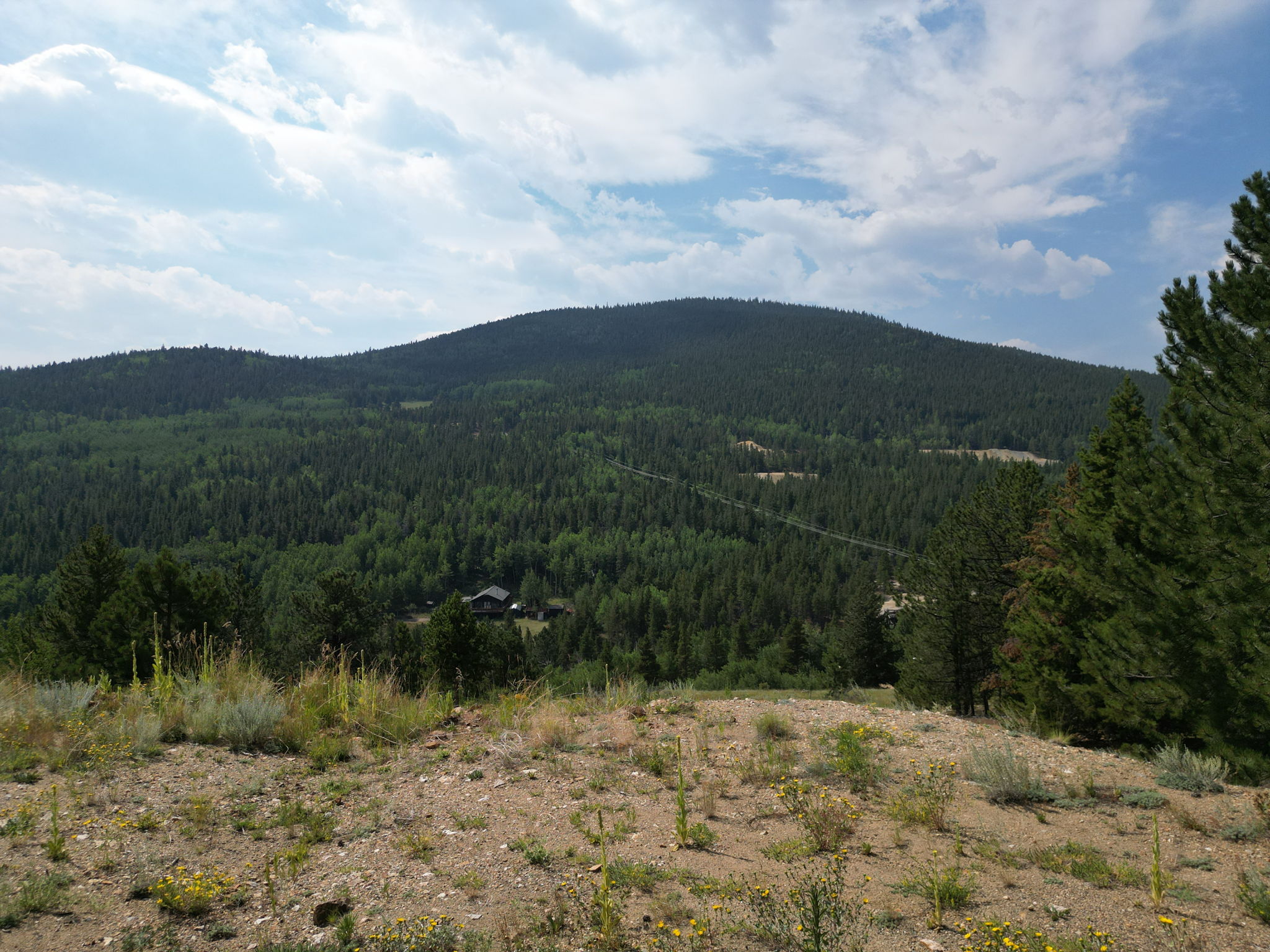  Photo 22