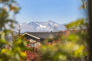  Photo 41