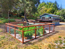 008_F8_AERIAL_6667 CA-9