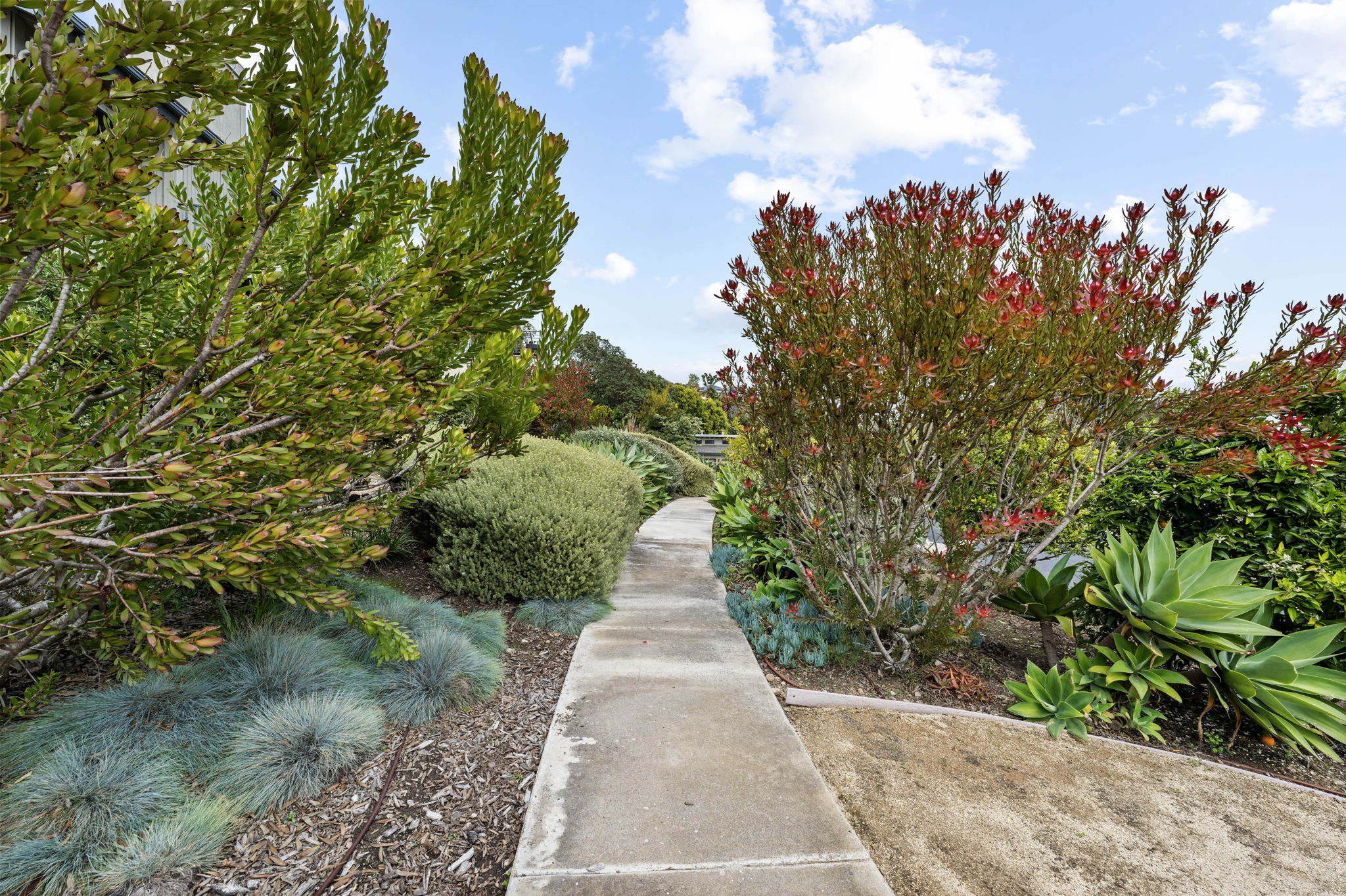 6669 La Jolla Scenic Drive South, San Diego, CA 92037