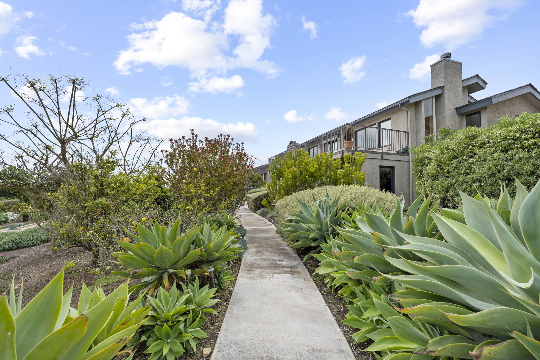 6669 La Jolla Scenic Drive South, San Diego, CA 92037