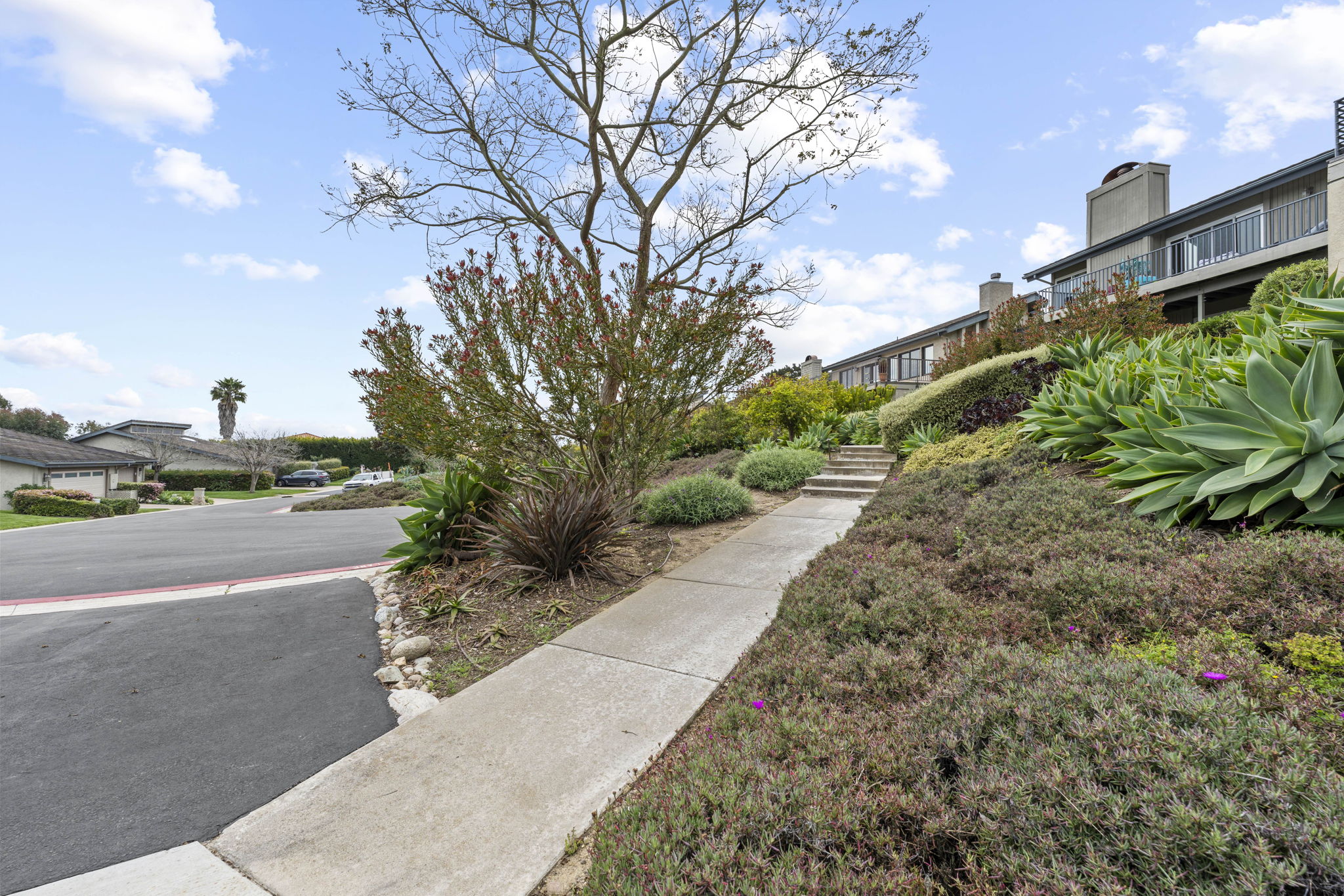 6669 La Jolla Scenic Drive South, San Diego, CA 92037