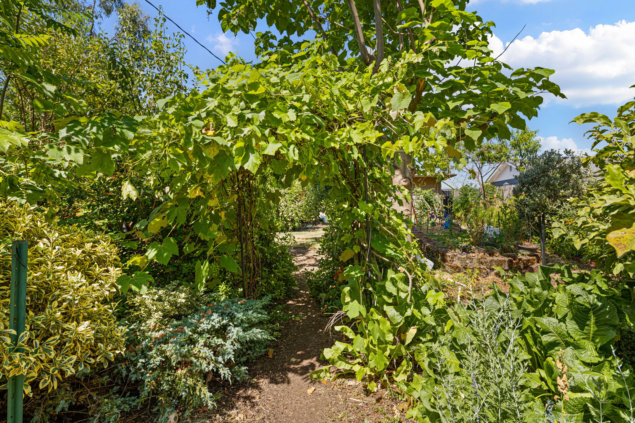  Photo 46