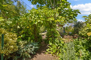  Photo 45