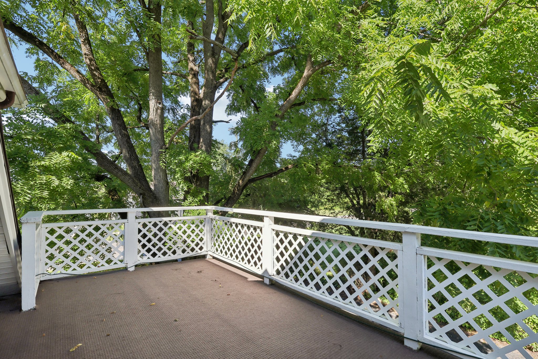 Ross Rd-048.jpg