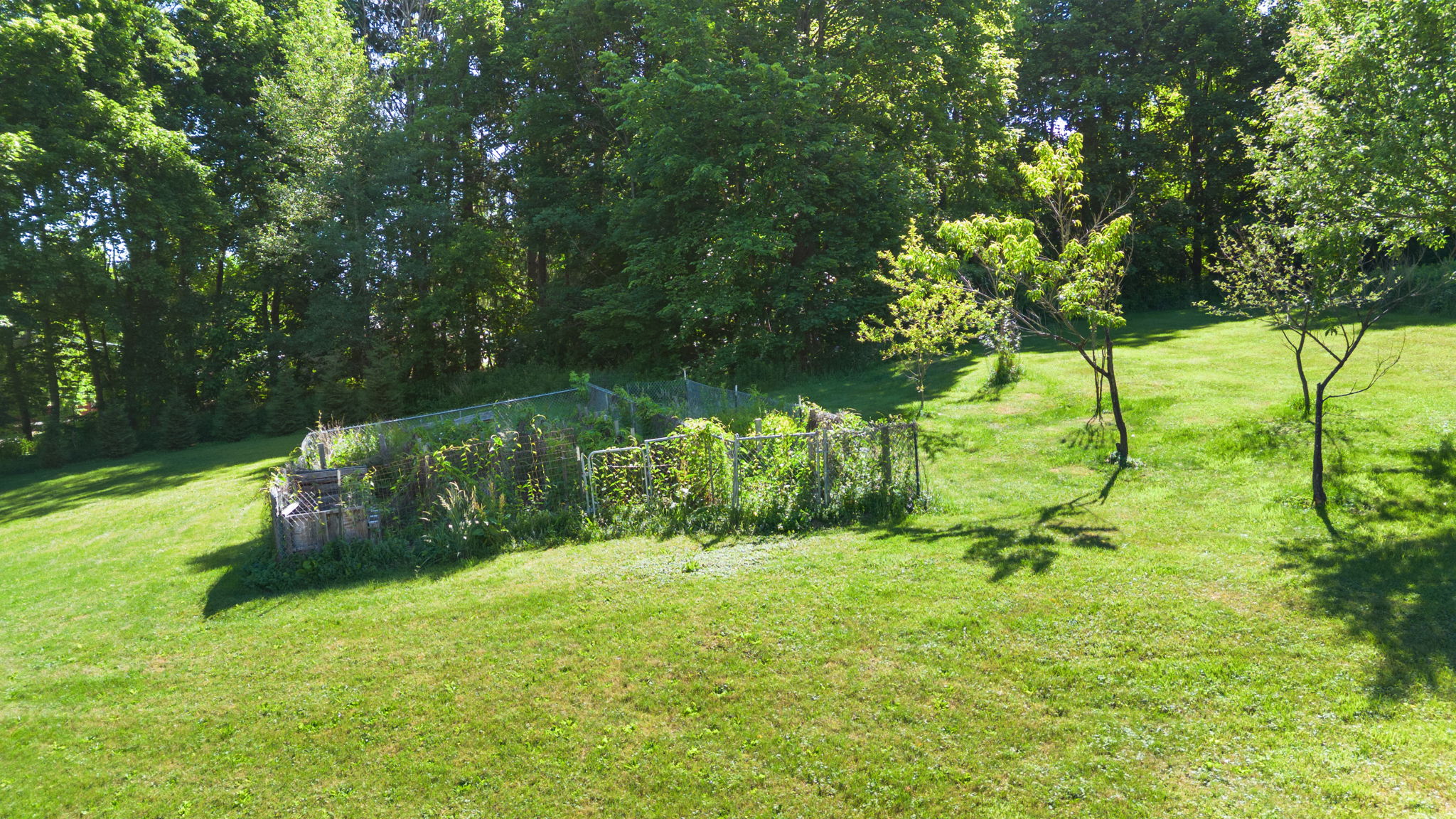  Photo 10