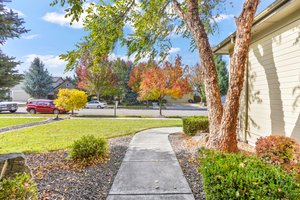 Front Yard