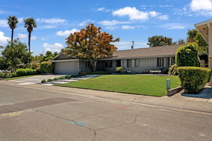  Photo 0