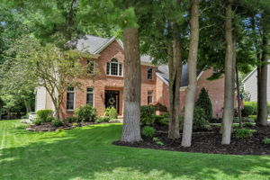  Photo 0