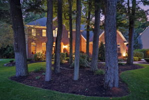  Photo 25