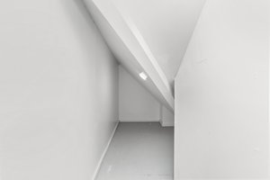 029