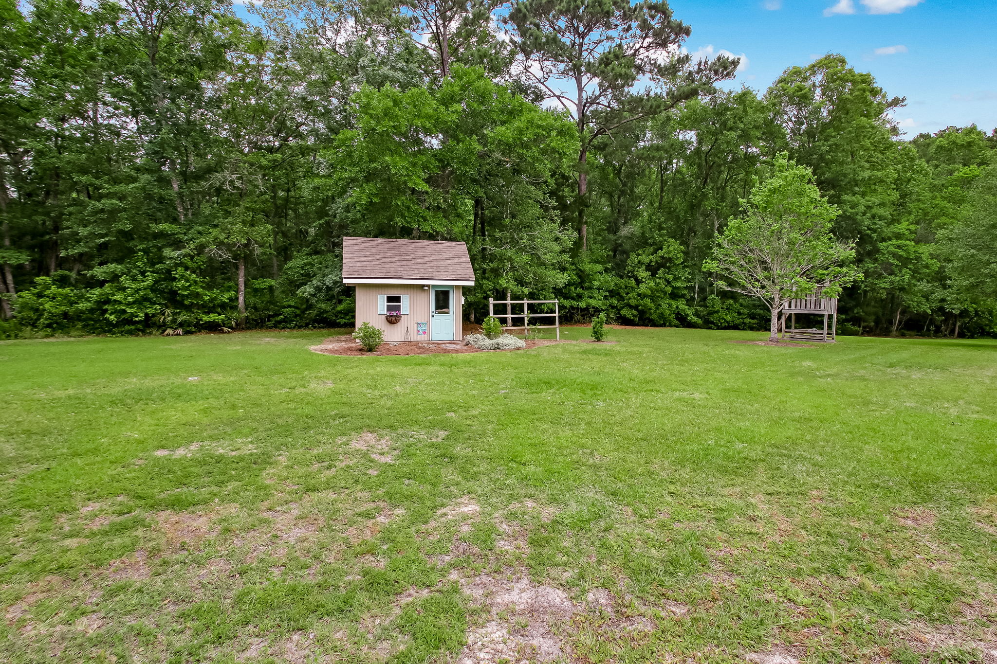 Back Yard