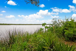 Marsh View