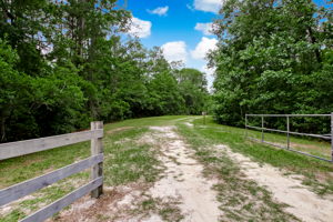 Driveway