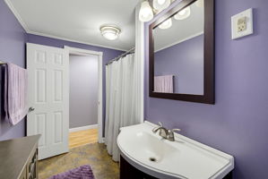  Photo 41