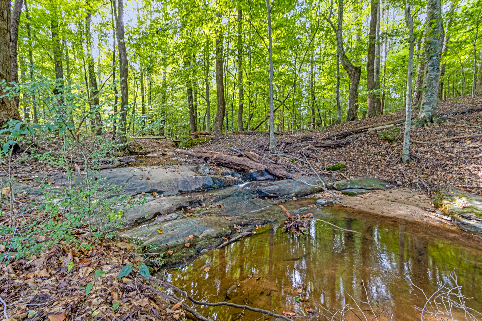 Stream