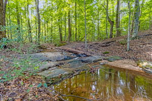 Stream