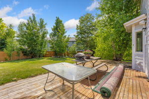 Back yard, deck area
