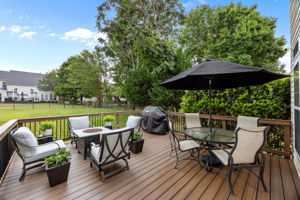 Low maintenance and durable composite decking