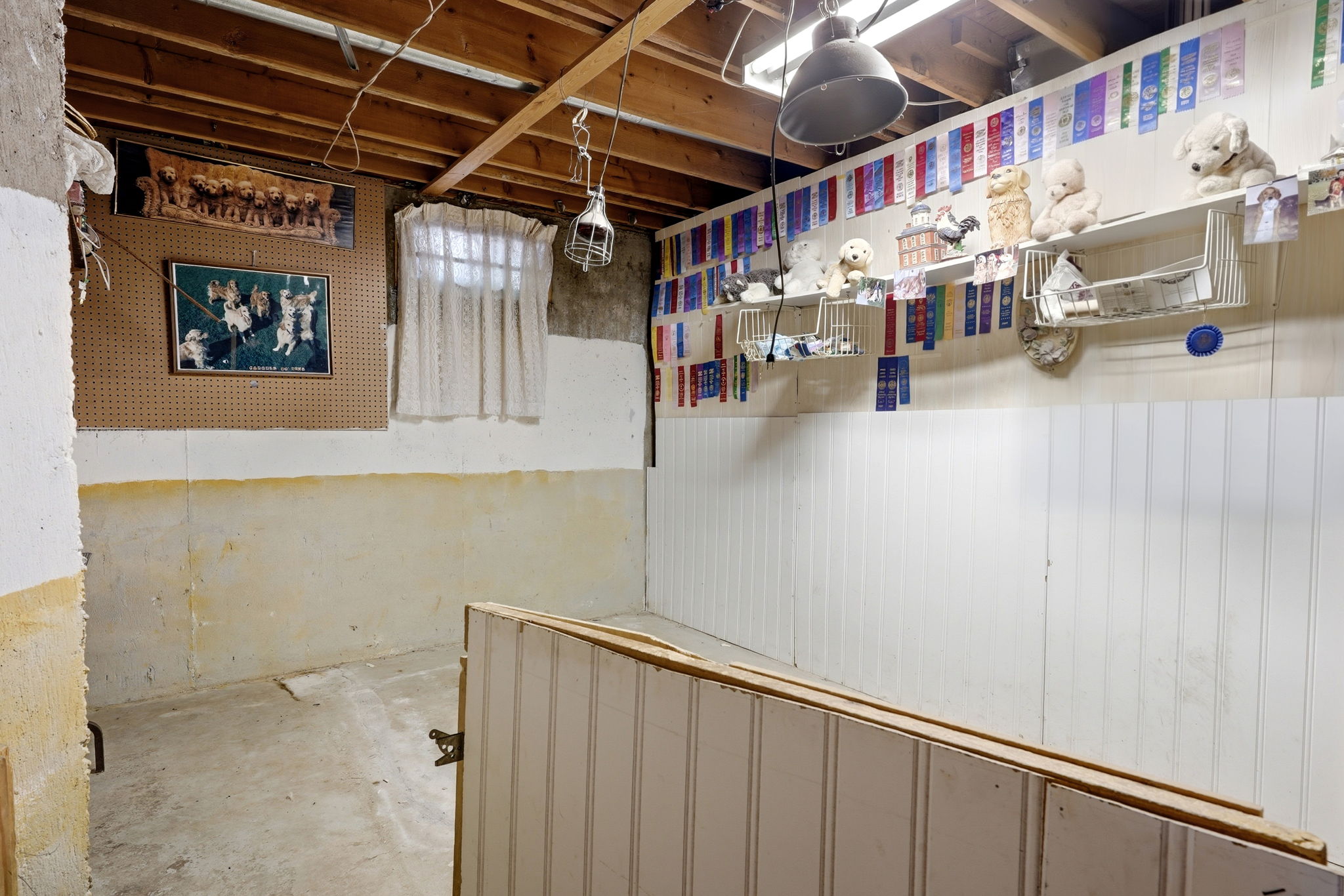  Photo 48