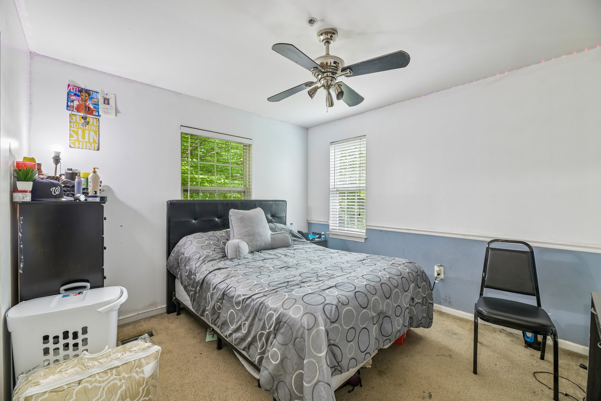 Seabird Ct-S1208-024.jpg