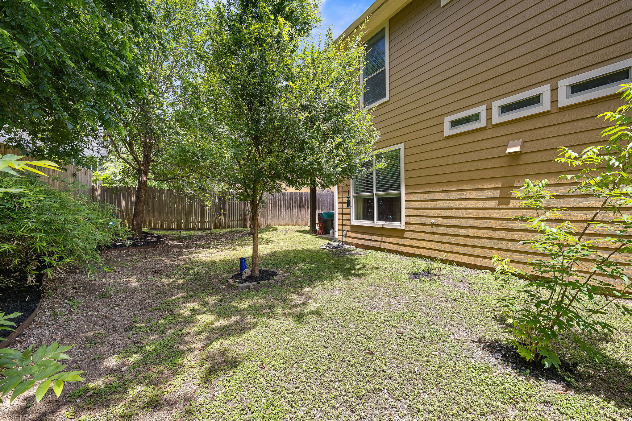 Back Yard