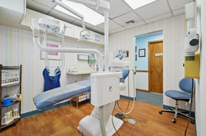 VMD015.jpg