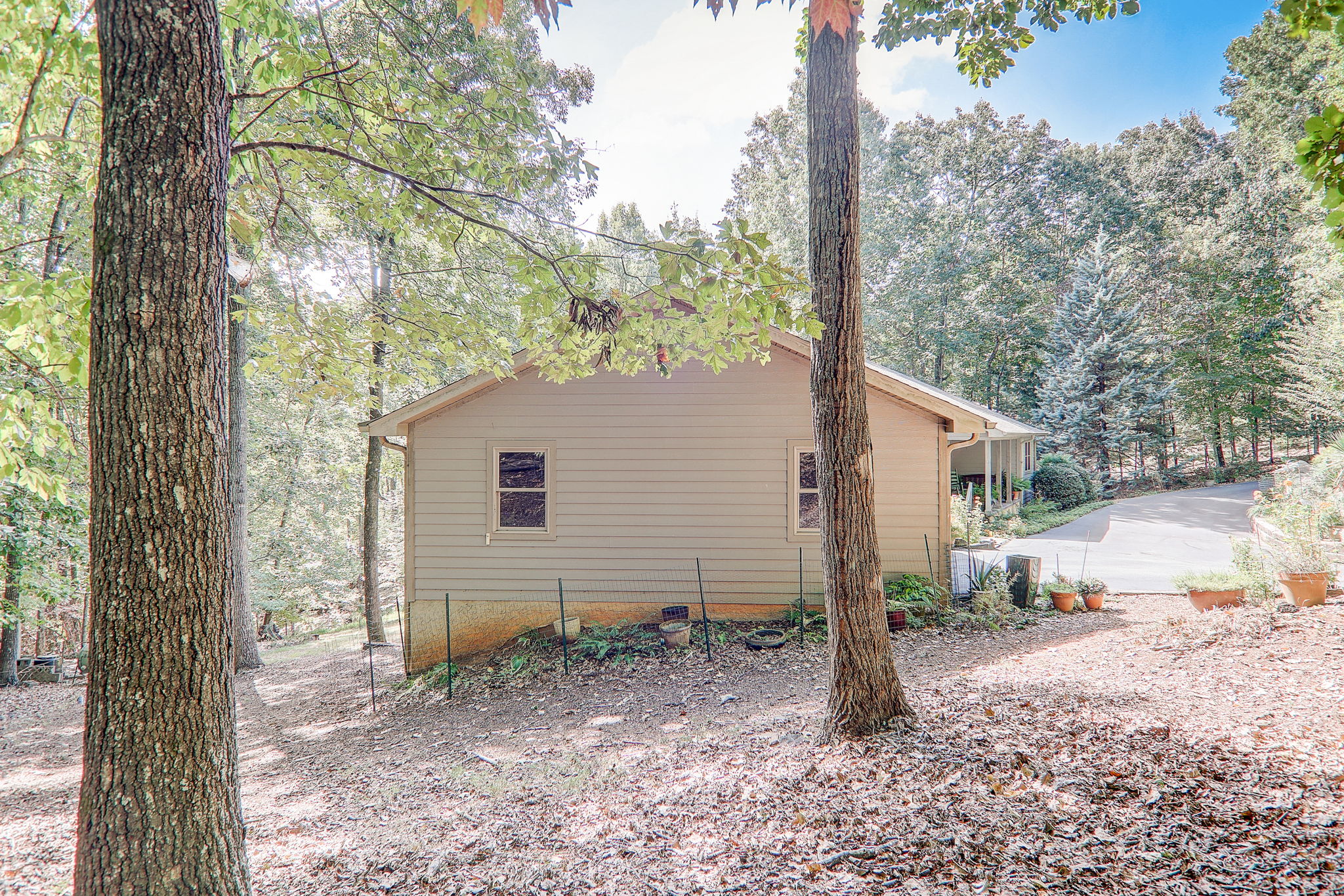 Mountain Laurel Dr-072