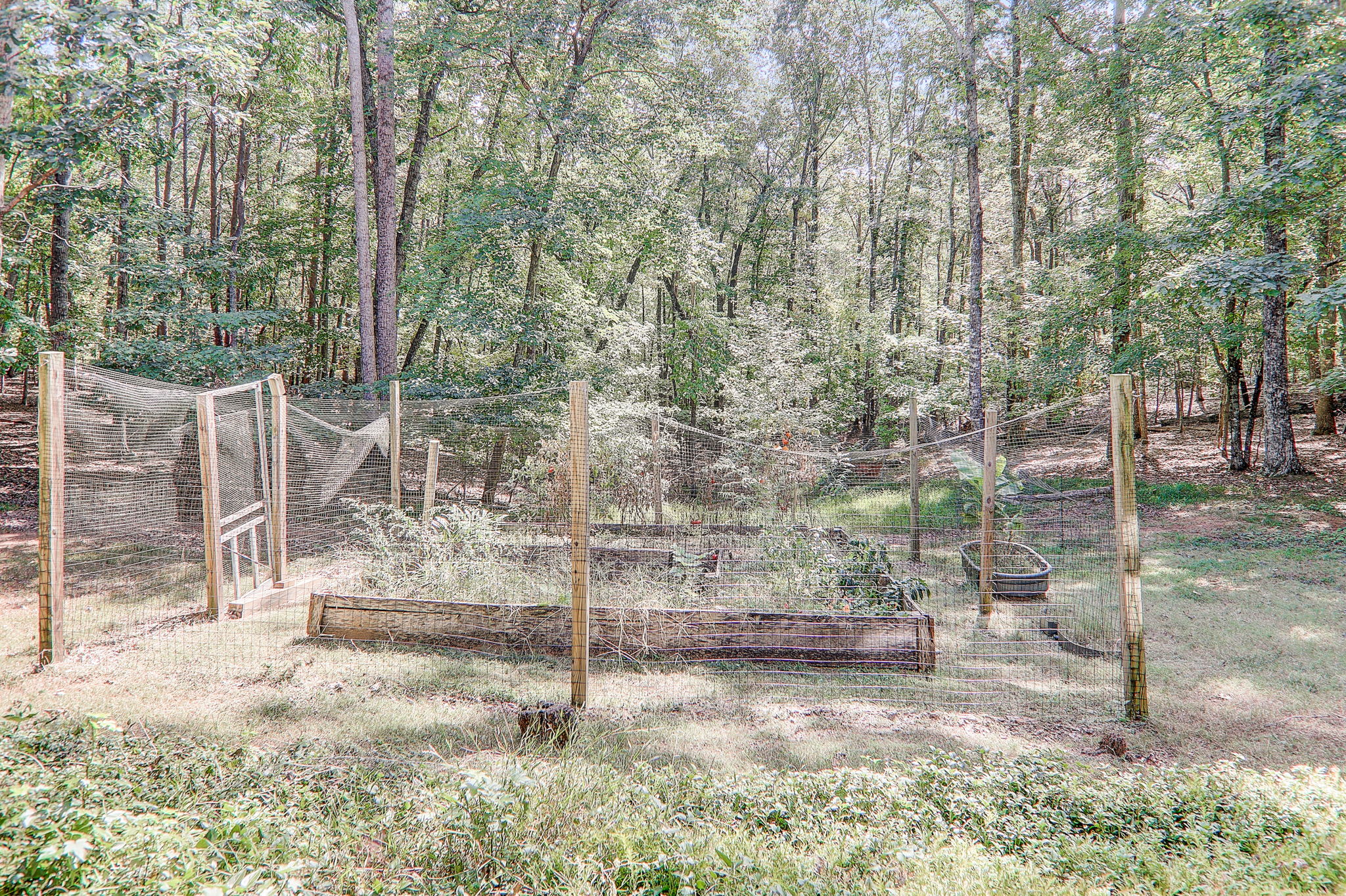 Mountain Laurel Dr-073