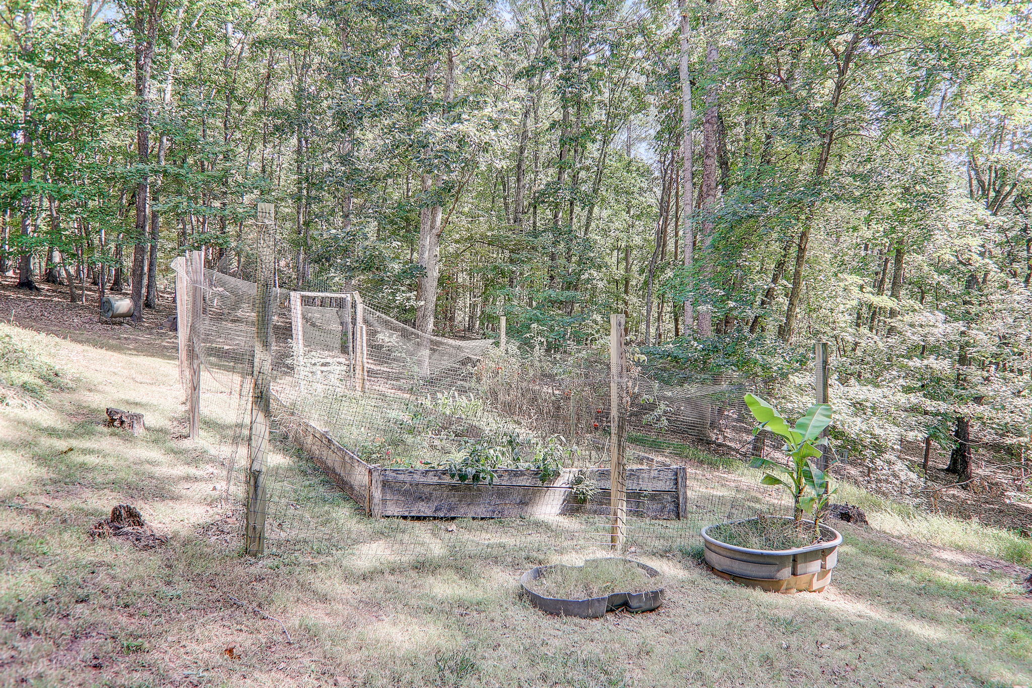 Mountain Laurel Dr-064