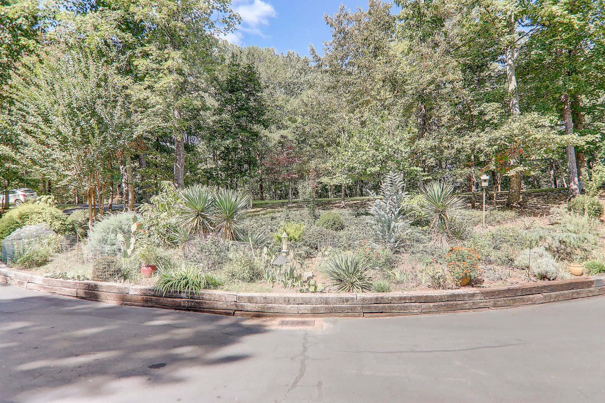 Mountain Laurel Dr-076