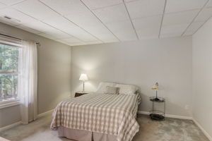 Mountain Laurel Dr-041