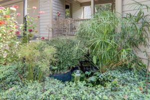 Mountain Laurel Dr-060