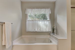 Mountain Laurel Dr-048