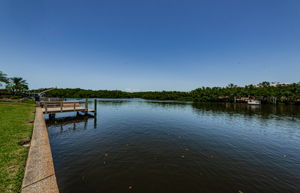 Backyard View 1