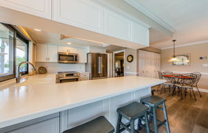 Kitchen Counter 1