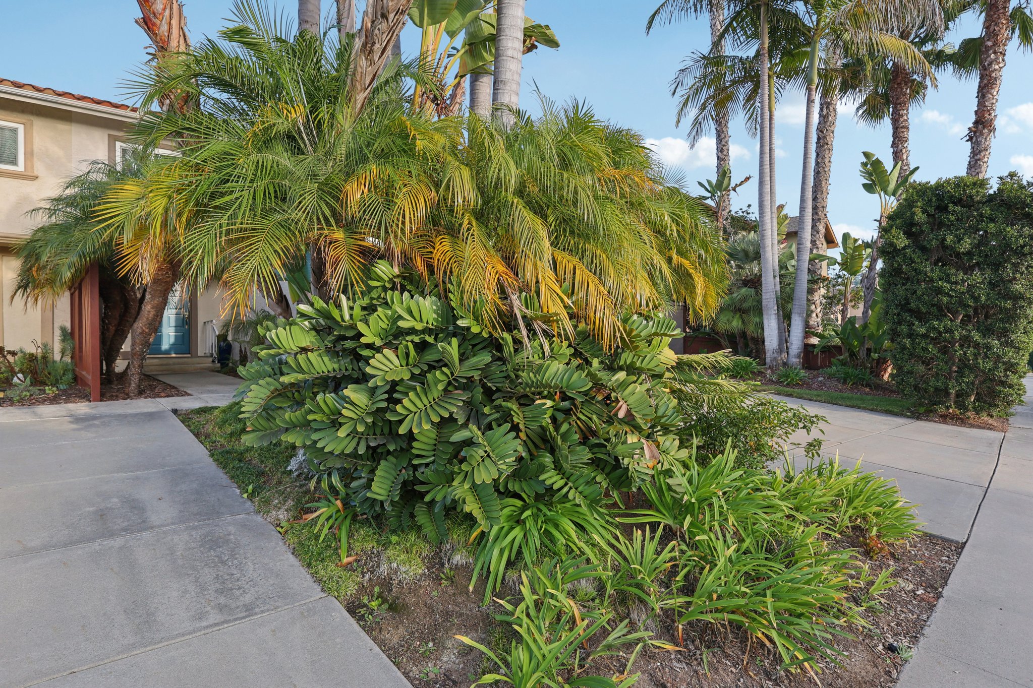 Cantil St-S0811-004.jpg