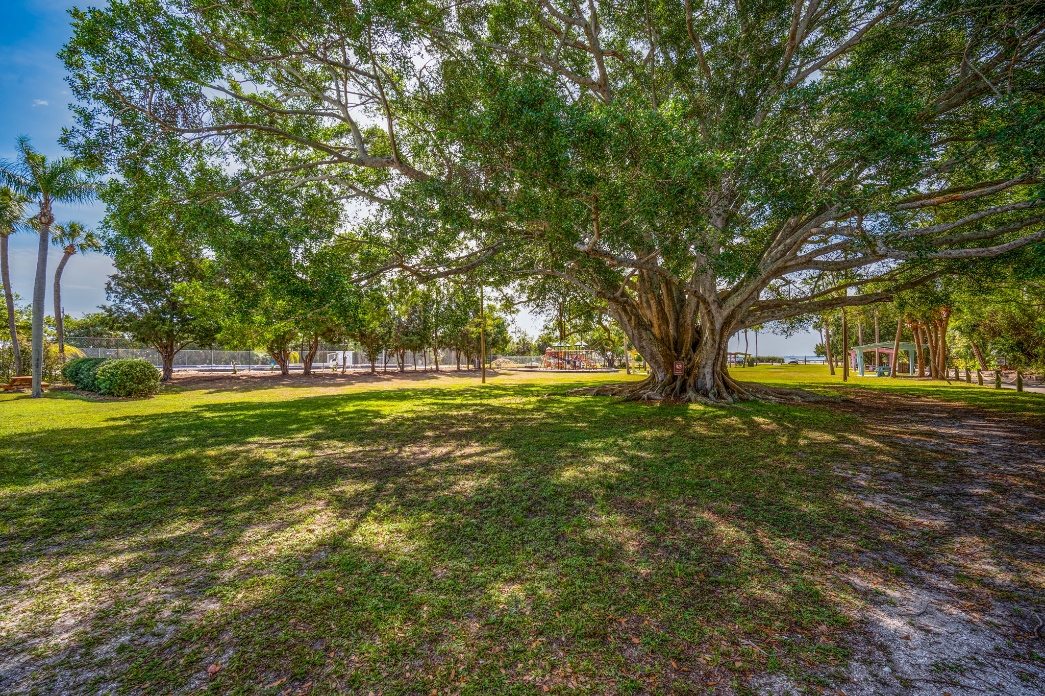 Bayshore Gardens Park & Rec-7